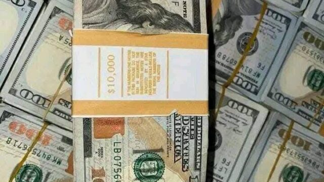 556010123_122101880553038992_2714815319130050304_n