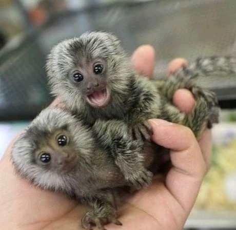 marcellmarcellus_274198822_405998934659761_9053581556041951716_n