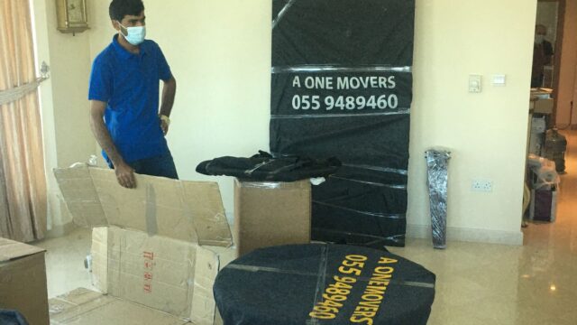 WhatsApp-Image-2026-01-08-at-17.11.14