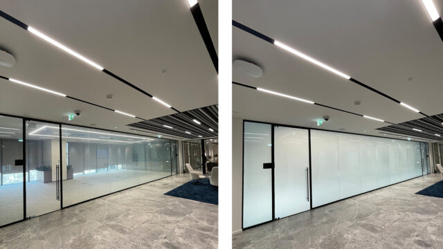 office-partition-big-2