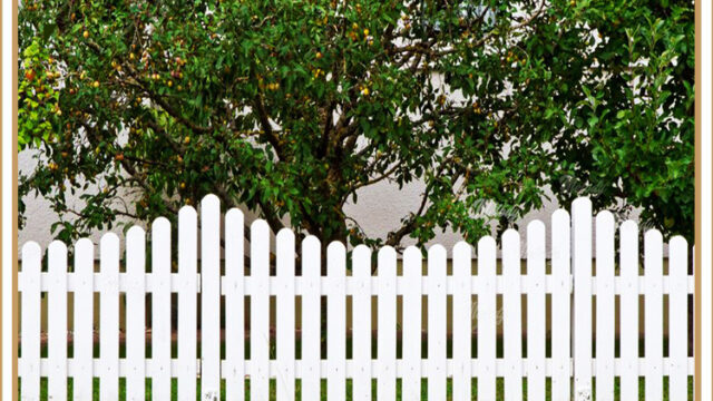 1White-Painted-Fence-1