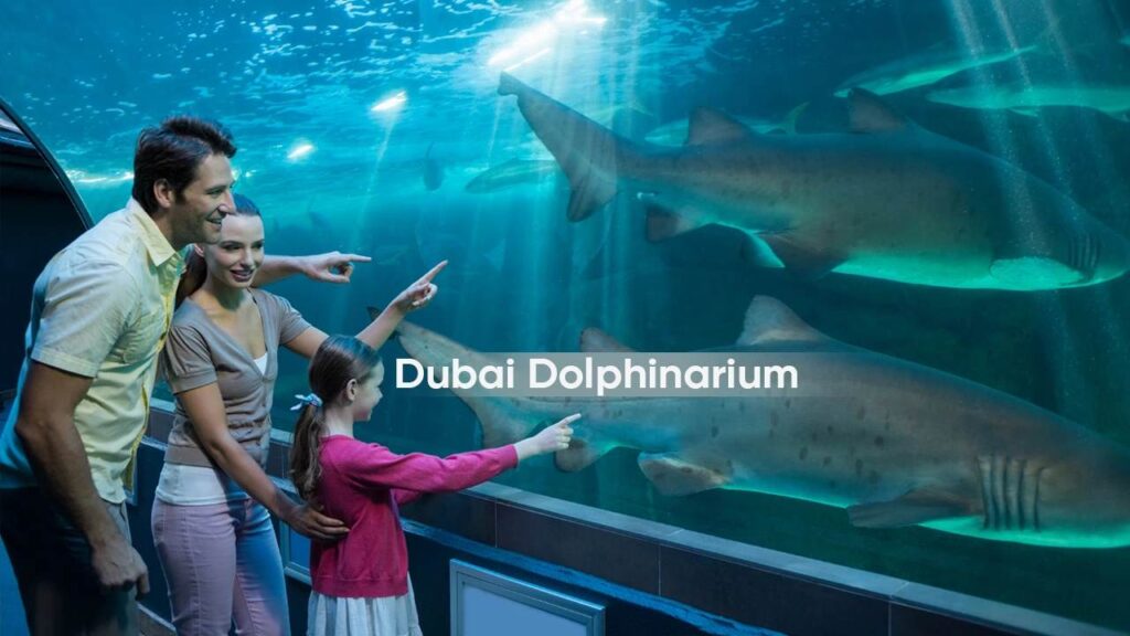 Dubai-Dolphinarium-1