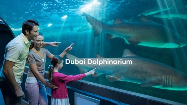 Dubai-Dolphinarium-1