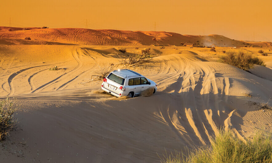 evening-desert-safari01